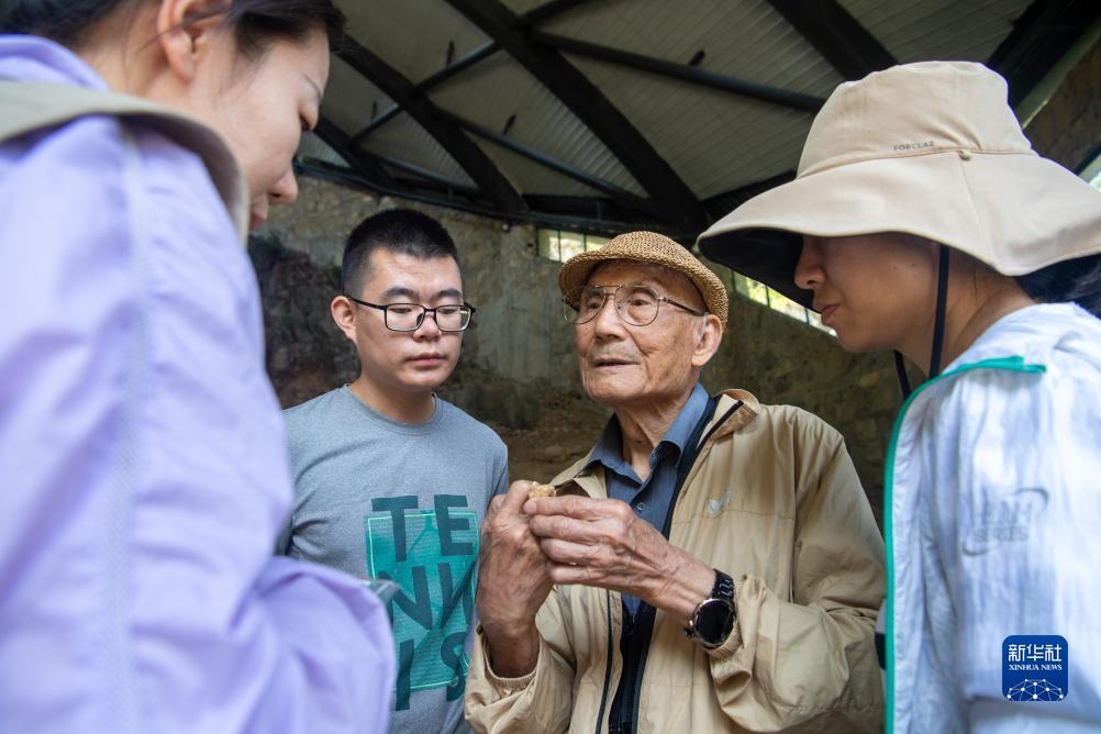 欢迎使用手机版彩网